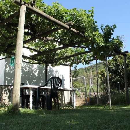 فيلا Casa La Maceta كاديز المظهر الخارجي الصورة