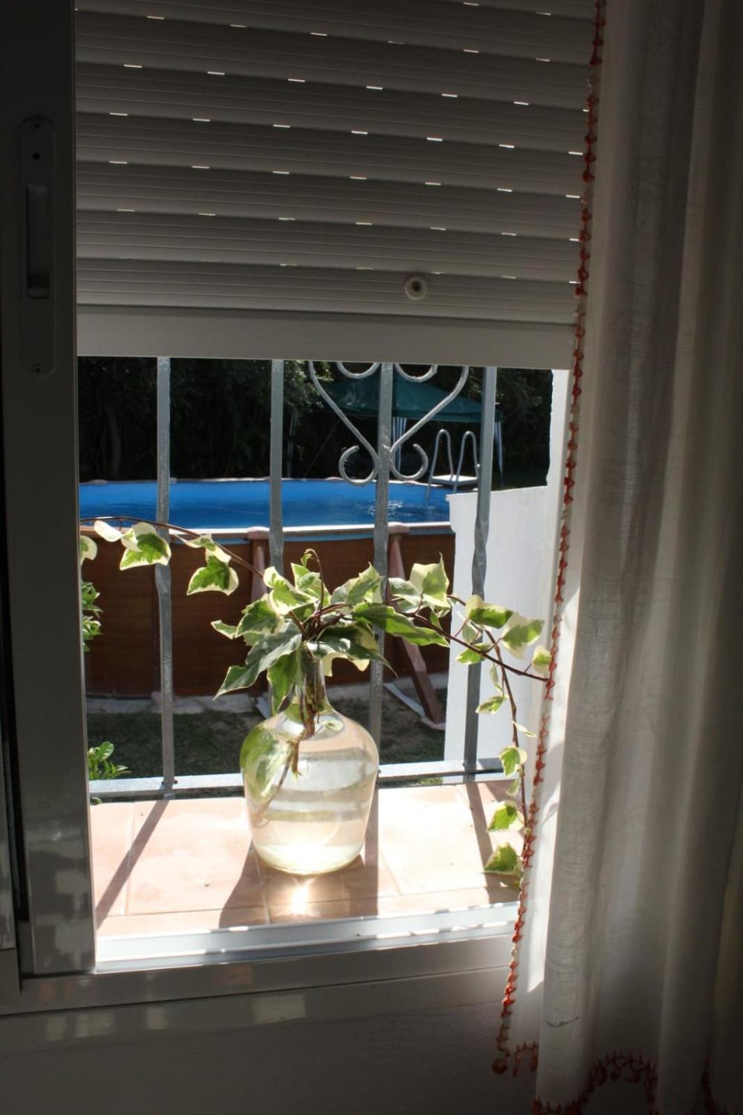 فيلا Casa La Maceta كاديز المظهر الخارجي الصورة