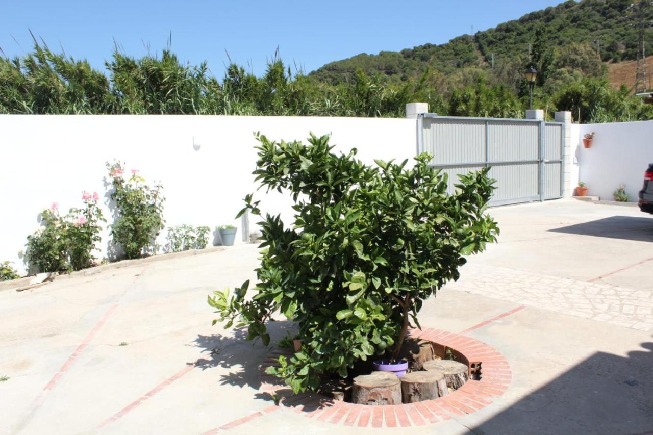 فيلا Casa La Maceta كاديز المظهر الخارجي الصورة